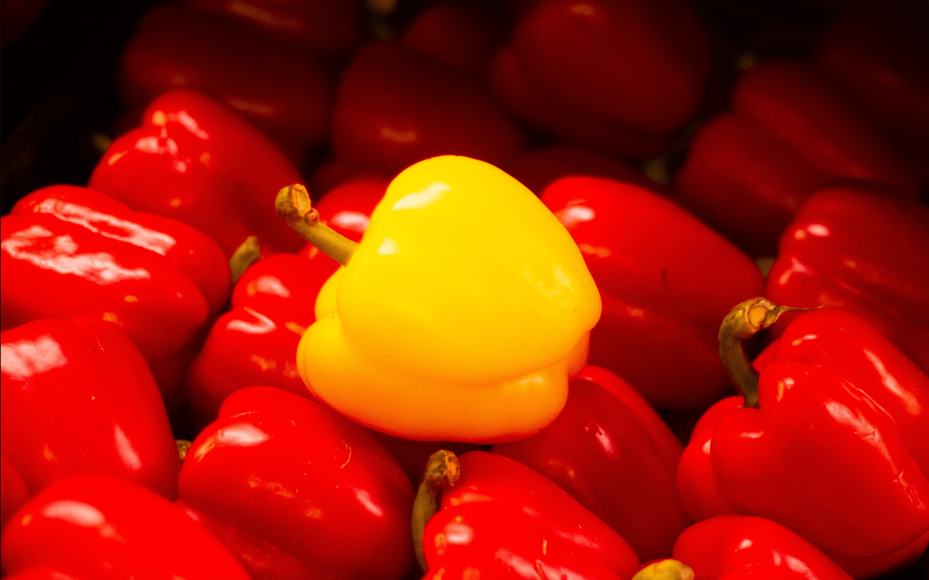 6 Content Marketing Experts Share Their Top Tips To Make You Stand Out [Infographics]