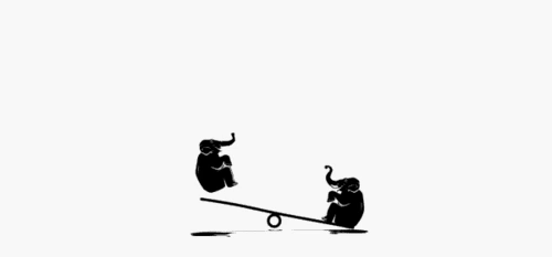 Elephants bouncing and flipping on a see-saw. 