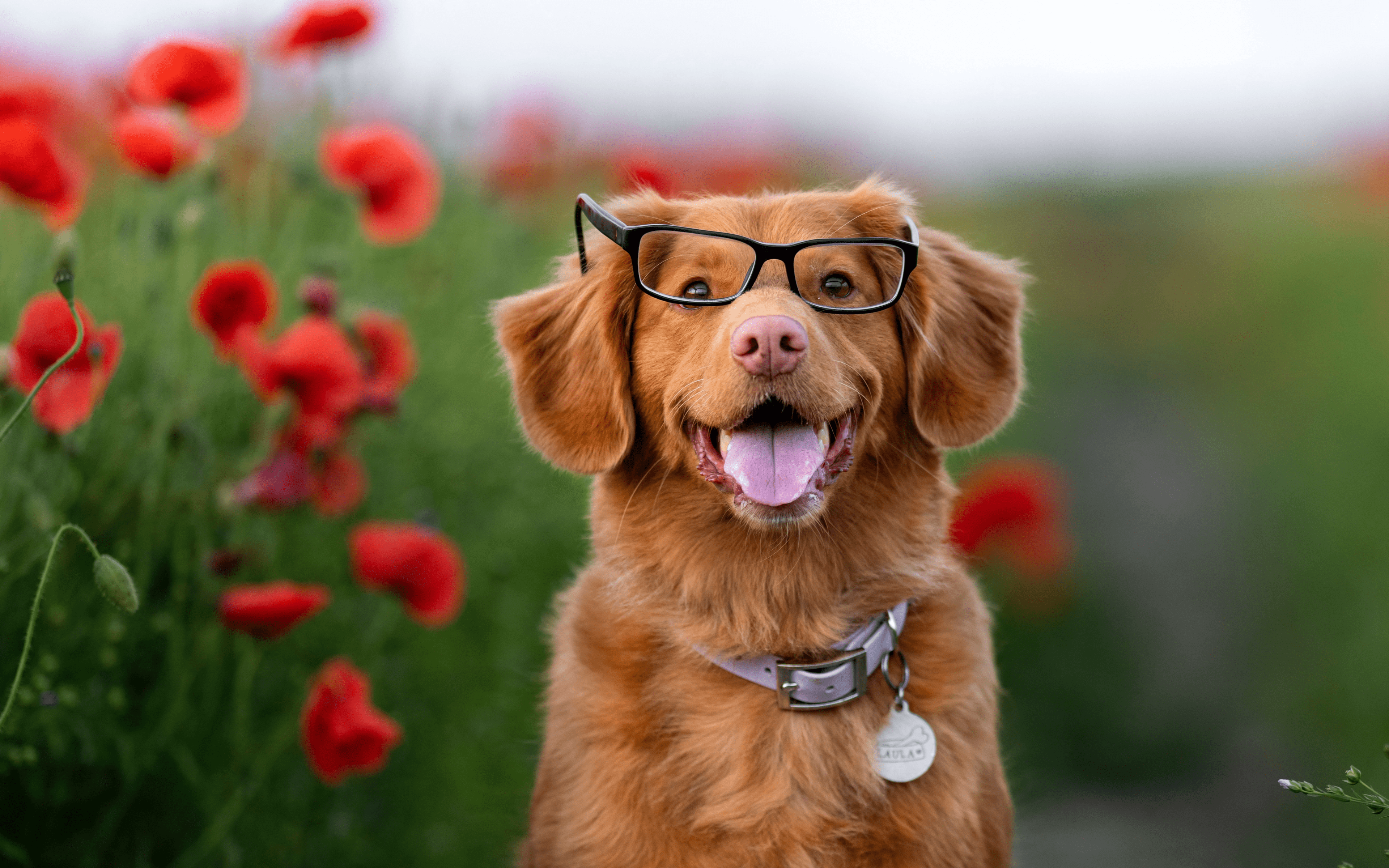 12 Clever Content Marketing Examples To Inspire a Winning Strategy