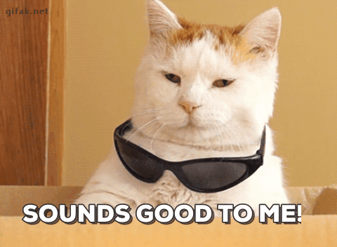 Cat GIF 